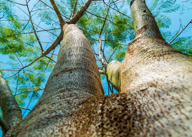 Comment changer votre perspective en découvrant le monde