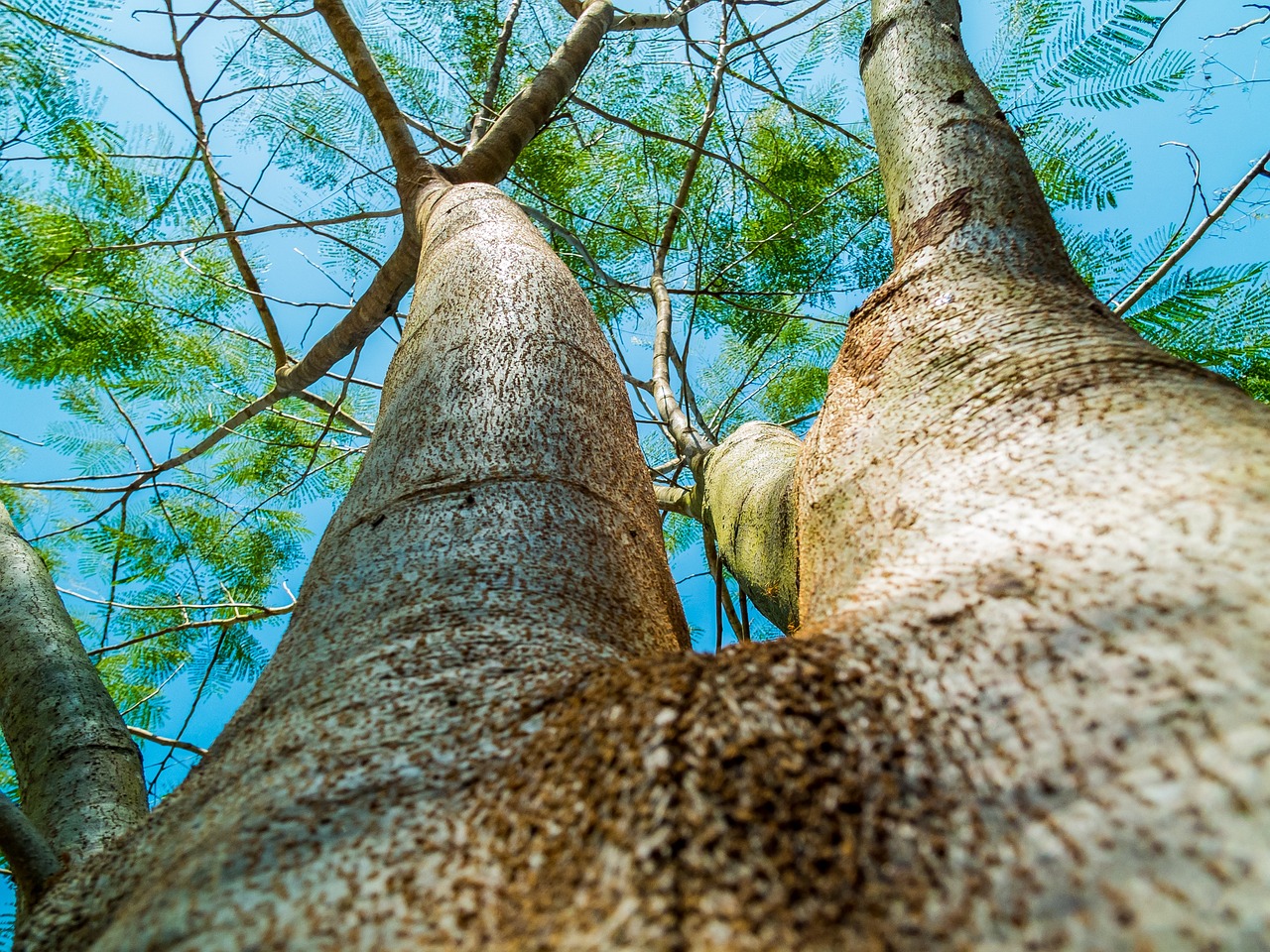 Comment changer votre perspective en découvrant le monde