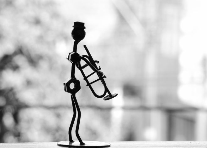 Découvrez les parcours inspirants des musiciens polonais talentueux