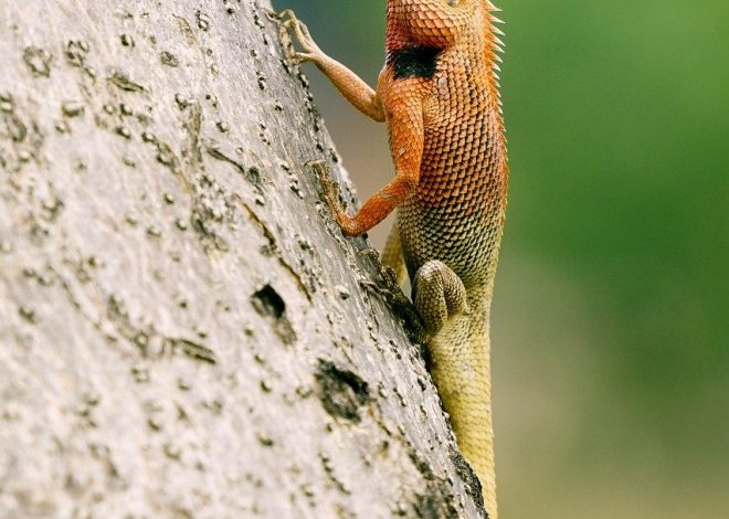 Jak wyjść z domu i cieszyć się czasem na świeżym powietrzu