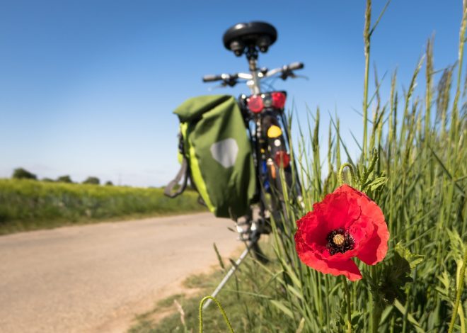 Les activités à faire pendant la récréation pour stimuler les enfants