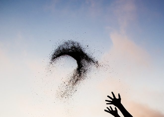 Les joies de la vie : comment trouver des moments de plaisir au quotidien