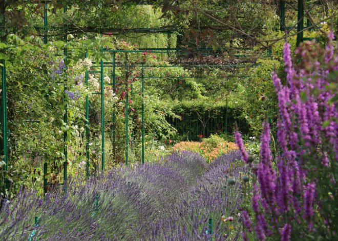 Comment monétiser vos vidéos sur YouTube et gagner de l’argent