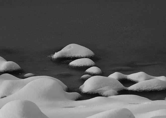 Les différents types de scènes