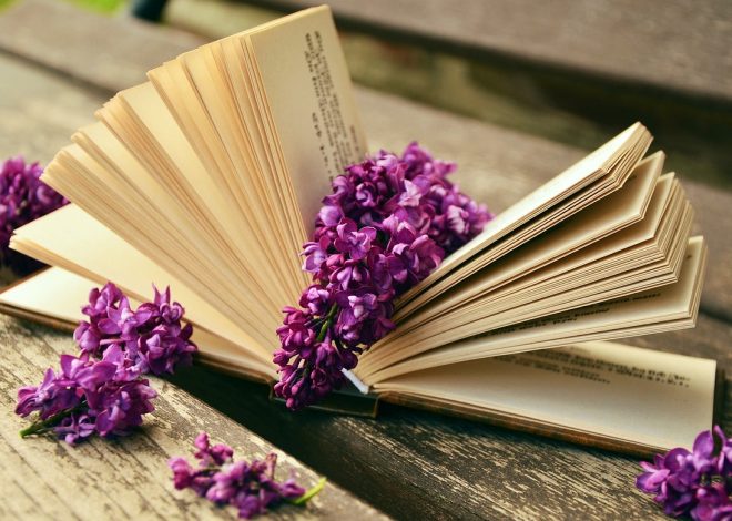 Les meilleurs livres pour les amateurs de littérature