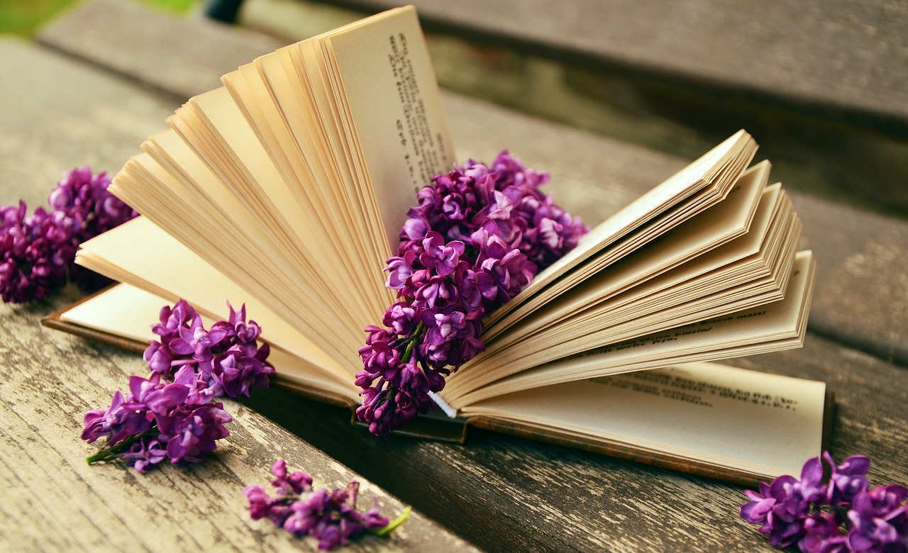 Les meilleurs livres pour les amateurs de littérature