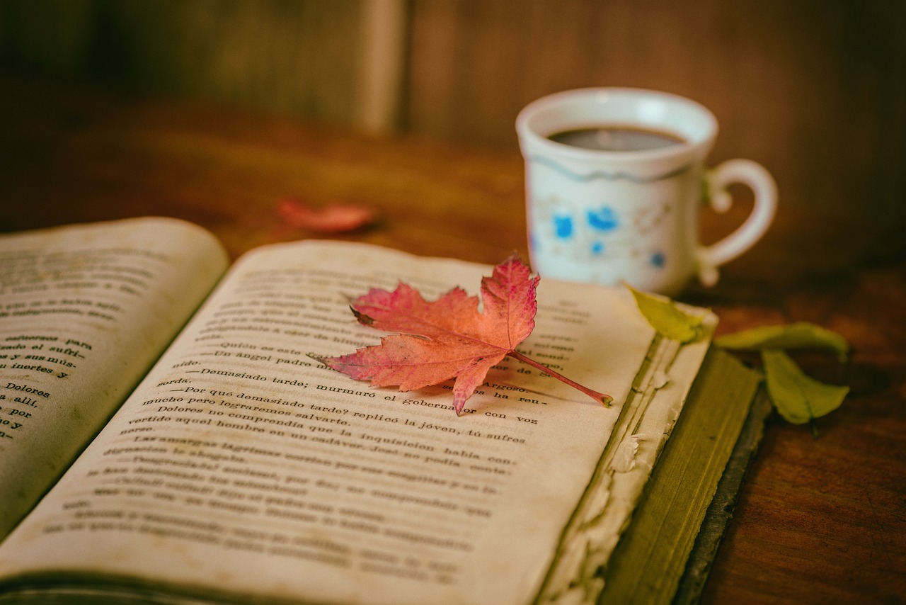 odkryj wyjątkowy wybór książek, które zainspirują cię, wzbogacą twoją wiedzę i zapewnią niezapomniane chwile z literaturą. przeglądaj nasze rekomendacje i znajdź idealną lekturę dla siebie.