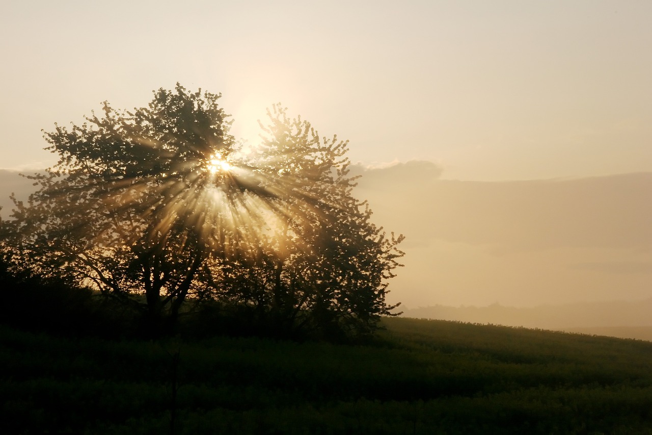 odkryj tajemnice fascynacji, która inspiruje nas do poszukiwania nowych doświadczeń i wiedzy. zanurz się w świat, gdzie pasja spotyka się z odkryciami i odkryj, jak fascynacja kształtuje nasze życie.