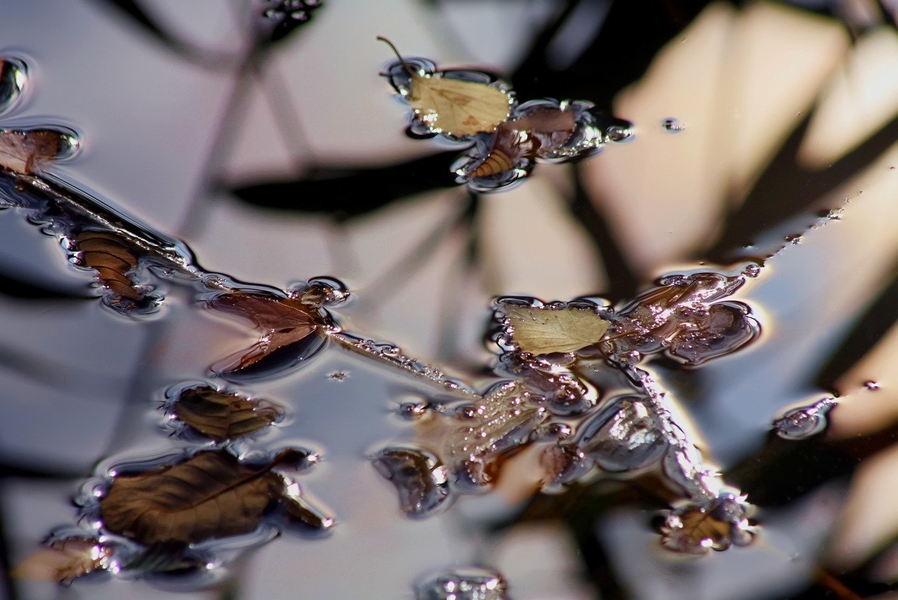 odkryj głębokie przemyślenia na temat odbicia, zarówno w sensie fizycznym, jak i emocjonalnym. zainspiruj się do samorefleksji i zrozumienia siebie w nowy sposób.