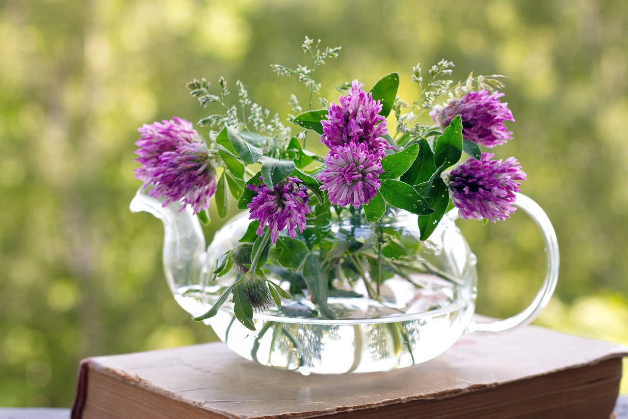 niezapomniane chwile spędzone w gronie najbliższych, które na zawsze pozostaną w pamięci. odkryj magiczne doświadczenia, które uczynią twoje życie wyjątkowym.